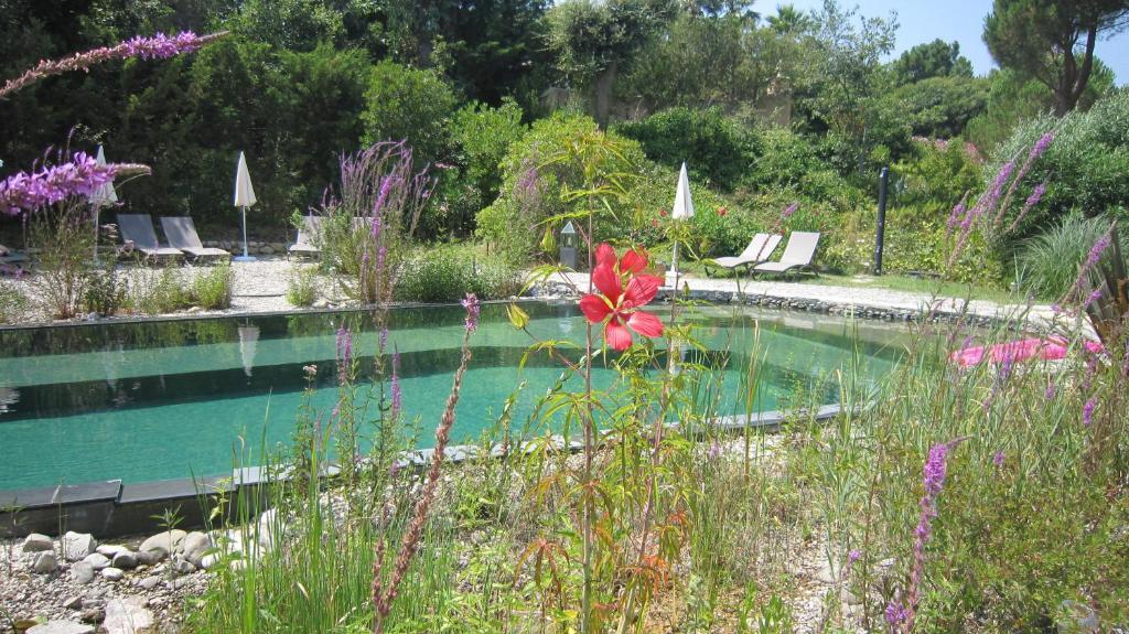 La Les Hesperides Grimaud